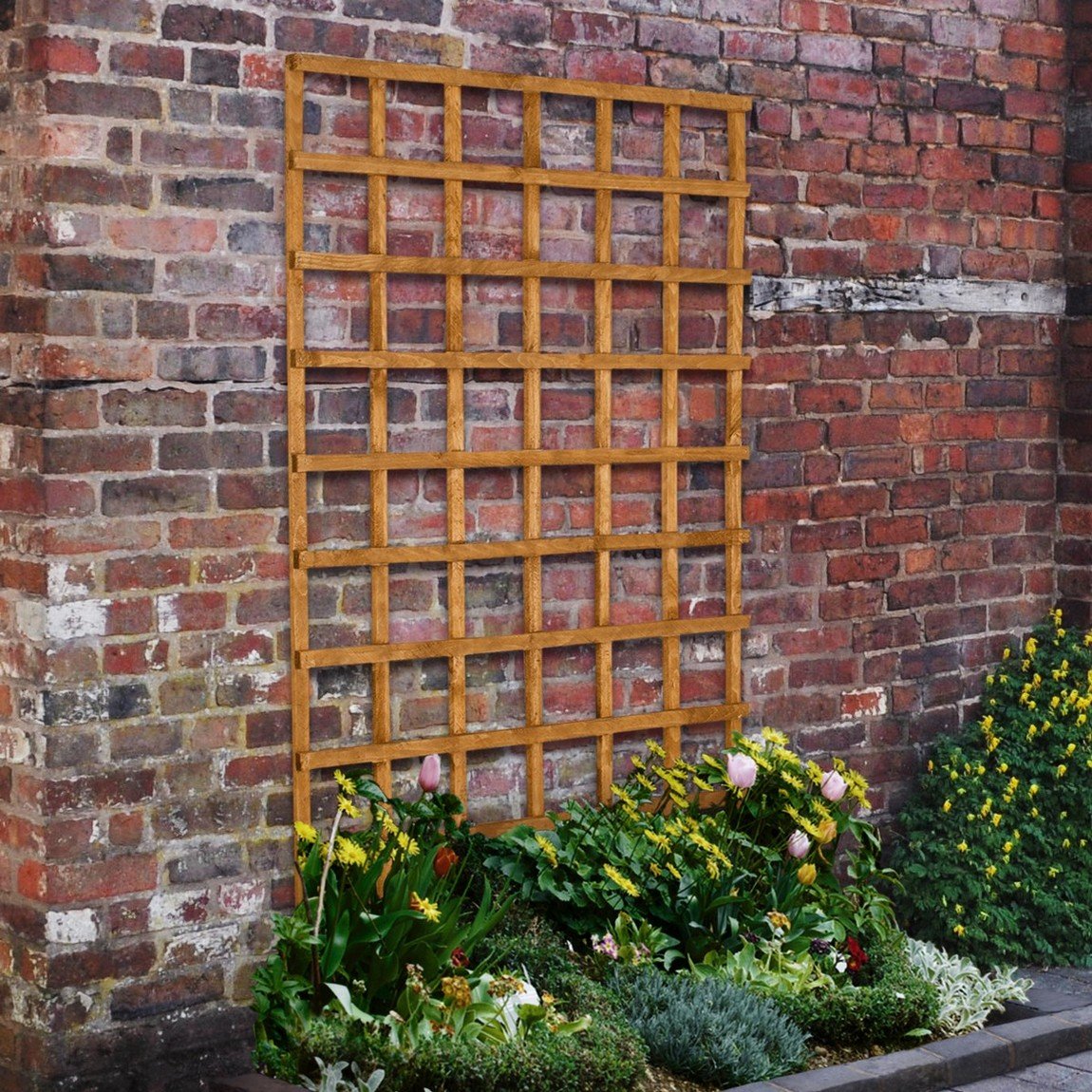 Forest Heavy Duty Trellis 1.83mtr x 1.22mtr - Treated Golden Brown (Pack of 10) Price Comparisons | Compare The Build