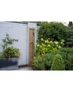 Forest Pressure Treated Vertical Slatted Screen 1.8mtr x 0.3mtr (Pack of 5)